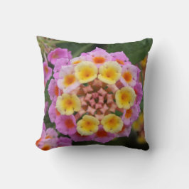 Makro: Rosa och Gult Lantana Flower Kudde