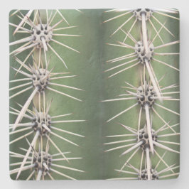 Makro Saguaro Cactus,Arizona, underlägg med kvadra