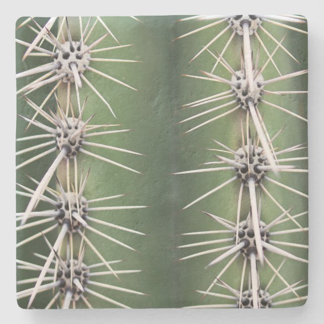 Makro Saguaro Cactus,Arizona, underlägg med kvadra (Framsidan)