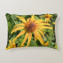 Makro till False Sunblommor