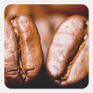 Makro till kaffebönor fyrkantigt klistermärke