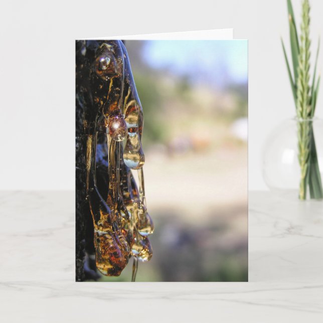 Makro: Träd Sap Liquid Diamonds Card Kort (Framsida)