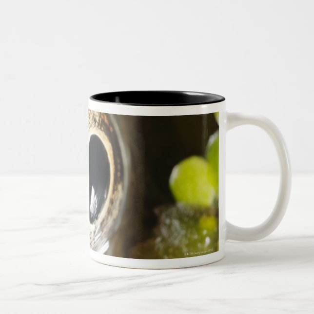 Makro; Vågrät; Färg; Färg; Inget Två-Tonad Mugg (Höger)