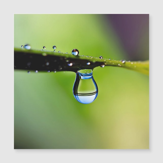 Makro vatten droppar (Framsida)