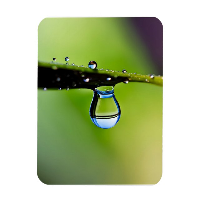 Makro vatten droppar magnet (Vertikal)