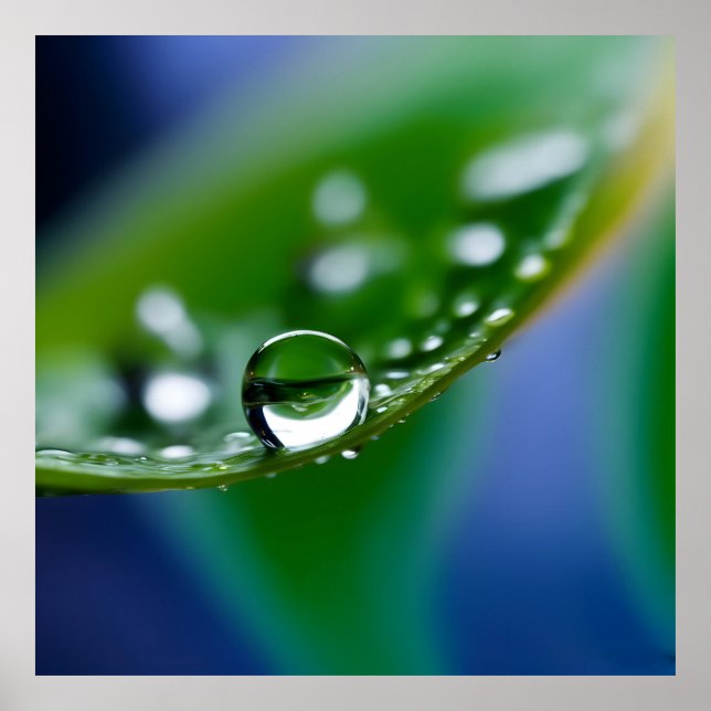 Makro vatten droppar poster (Framsidan)