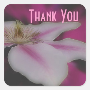 Makro White Clematis Flower Tack Sticker Fyrkantigt Klistermärke