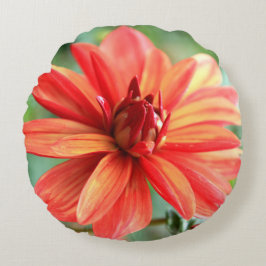 Makroaufnahme einer roten Blume Rund Kudde