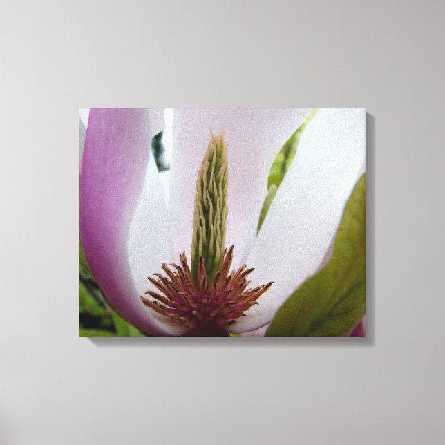 makrobild för magnolia blomma canvastryck (Framsida)