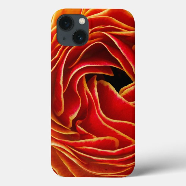 Makroblomma| Flower Fält Carlsbad, CA (Baksida)