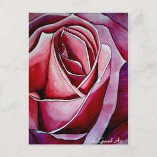 Makroblomma rosa ros vykort