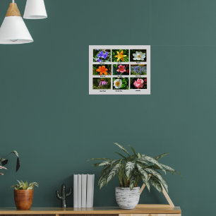 Makroblommor poster