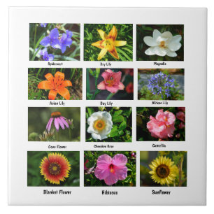 Makroblommor poster kakelplatta