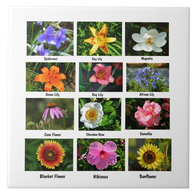 Makroblommor poster kakelplatta (Framsidan)