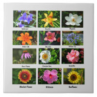 Makroblommor poster