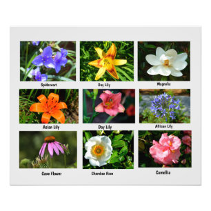 Makroblommor - utvidgning fototryck