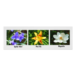 Makroblommor - utvidgning fototryck
