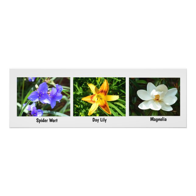 Makroblommor - utvidgning fototryck (Framsidan)