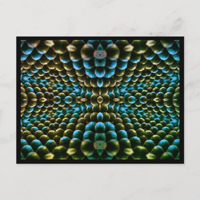 makrodeliskt vykort (Framsida)