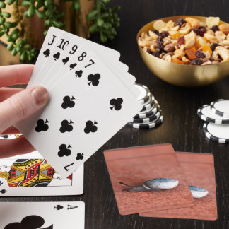 Makrofoto av snigel på terrakotta casinokort