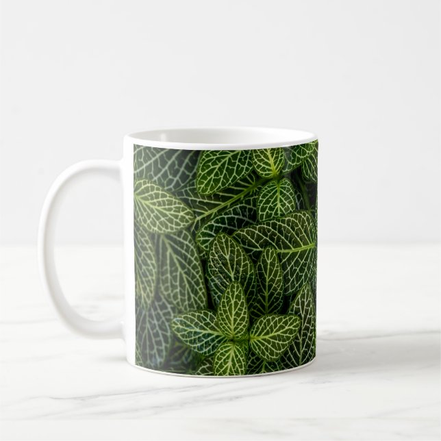 MAKROFOTO AV VÄXTER AV GRÖNT KAFFEMUGG (Vänster)