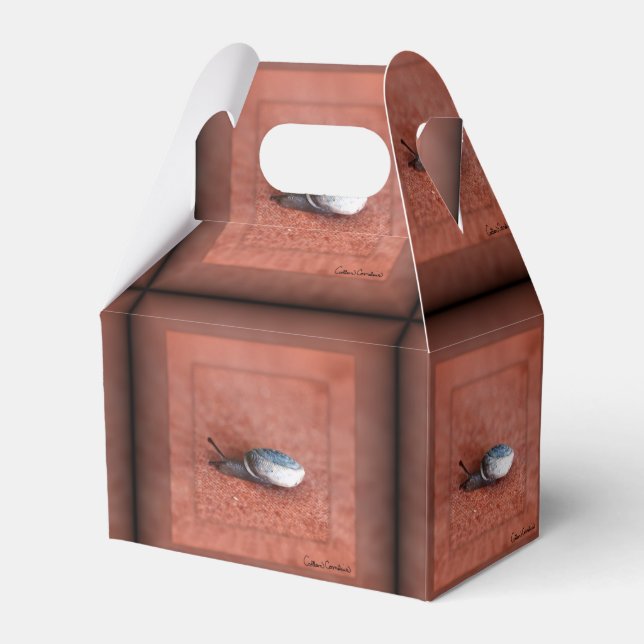 Makrofoto från Snigel på Terracotta Presentaskar (Baksidan Sidan)