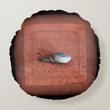 Makrofoto från Snigel på Terracotta