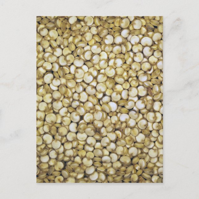 Makrofoto på Quinoa-korn Vykort (Framsida)