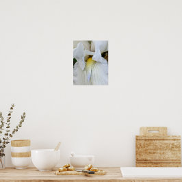 Makrofoto på vit skäggiris i blom poster