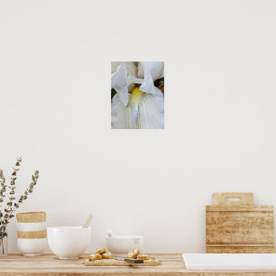 Makrofoto på vit skäggiris i blom poster