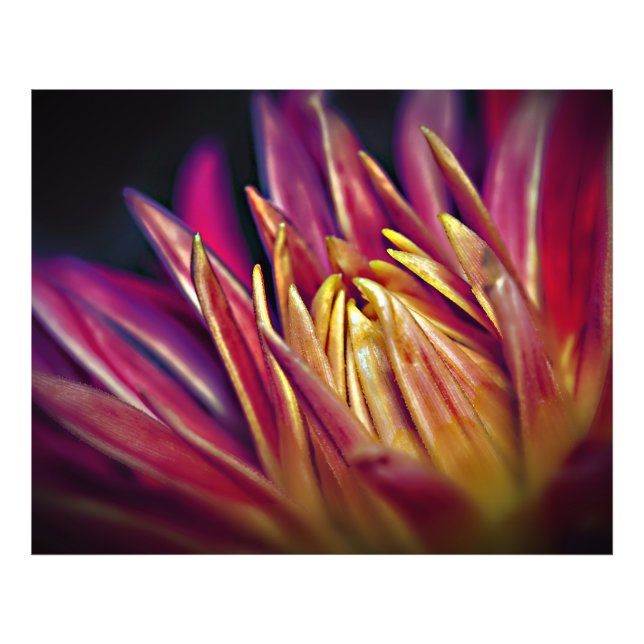 Makrofotoblomma Fototryck (Framsidan)