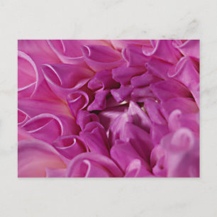 Makrofotoblomma Vykort