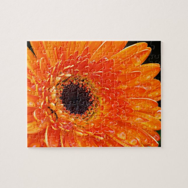 Makrofotografi av Bright Orange Gerbera Daisy Pussel (Horisontell)