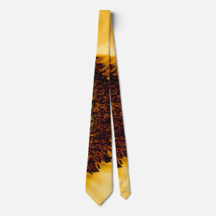 Makrofotografi av en solros slips