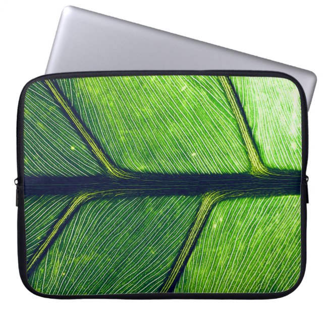 Makrofotografi av grönt löv laptop fodral (Framsidan)