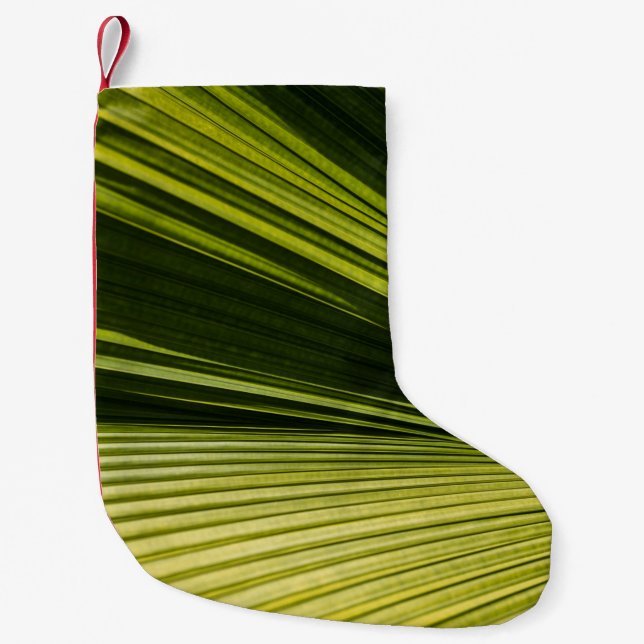 Makrofotografi av grönt löv liten julstrumpa (Framsidan)