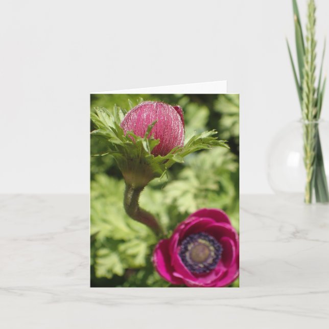 Makrofotounik fet rosa-blomma på tomt kort (Framsida)