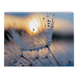Makronaturbilder Kalender