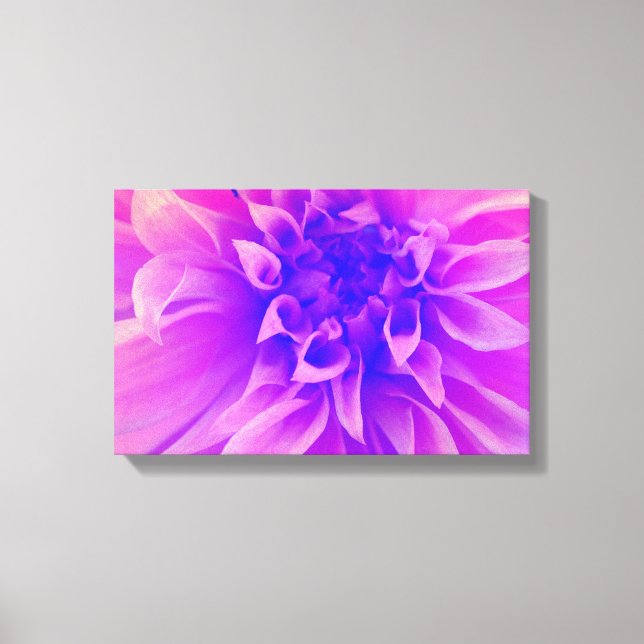 MakroRosa blomma Canvastryck (Framsida)