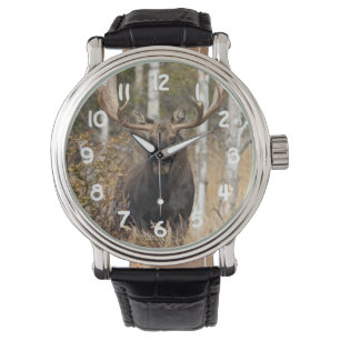 Mäktig tjurälg armbandsur