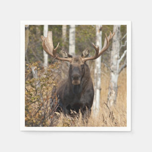 Mäktig tjurälg pappersservett