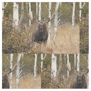 Mäktig tjurälg tyg