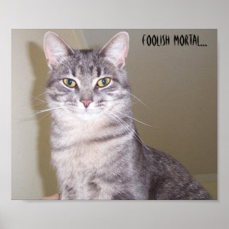 Mäktigt Kattdjur, dumt dödlig.. Poster