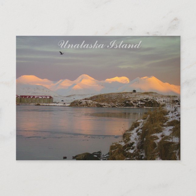 Makushinbergen under vintern vykort (Framsida)