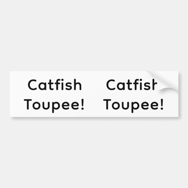 Mal Catfish Hankamer Artjunkhaus Rolig Splash-Kons Bildekal (Framsidan)