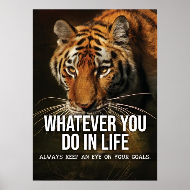 Mål - Hustle, Gym, Success - Tiger Motivational Poster (Framsidan)