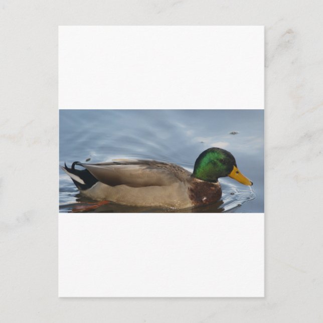 Mal III Vykort (Framsida)