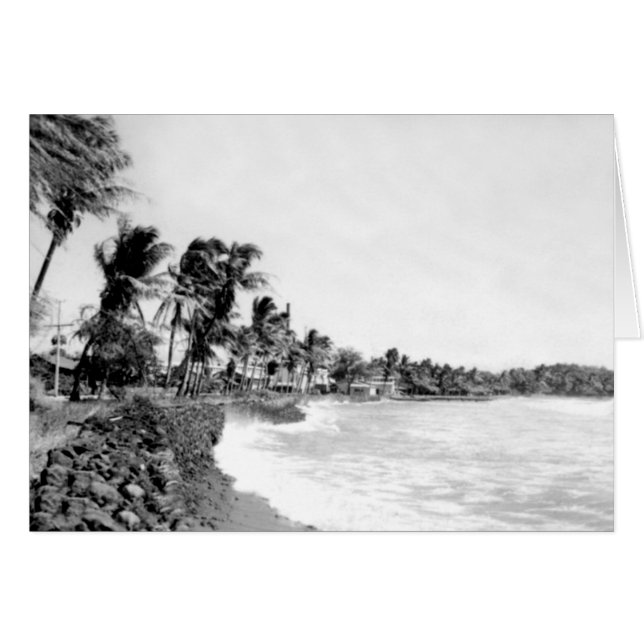 Mala Beach Lahaina Maui Hawaii Hälsningskort (Framsidan Horizontal)