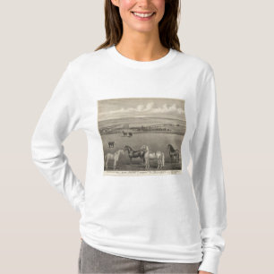Mala Braeranchen, Kansas Tee Shirt