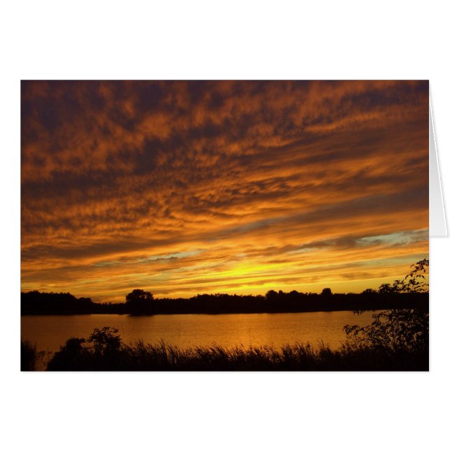 Måla den orange hälsningskort (Framsidan Horizontal)